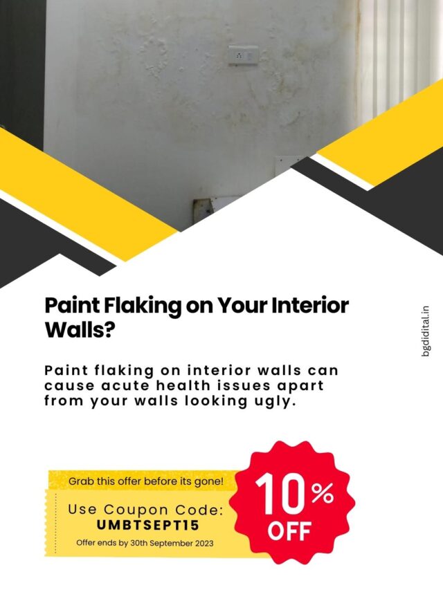 Fix Wall dampness and flaky paint | UniPro® Waterproofing